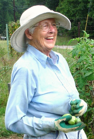 £1.3m boost for dementia gardens