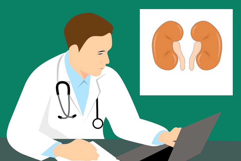 £2.5m for kidney disease research