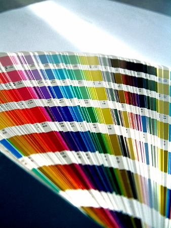 A room with a hue
