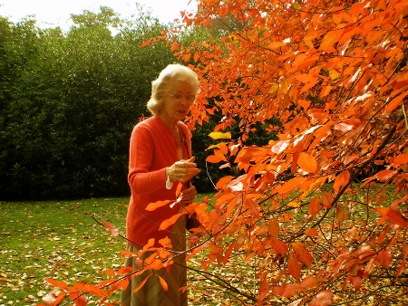 Access to nature improves health and wellbeing