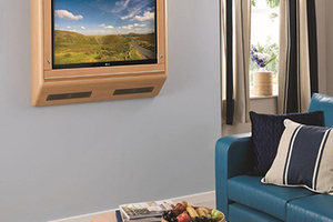 Anti-ligature Television Cabinet (ALTV)