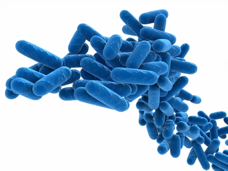 Legionella and Pseudomonas can be potentially harmful if allowed to breed in hospital water tanks