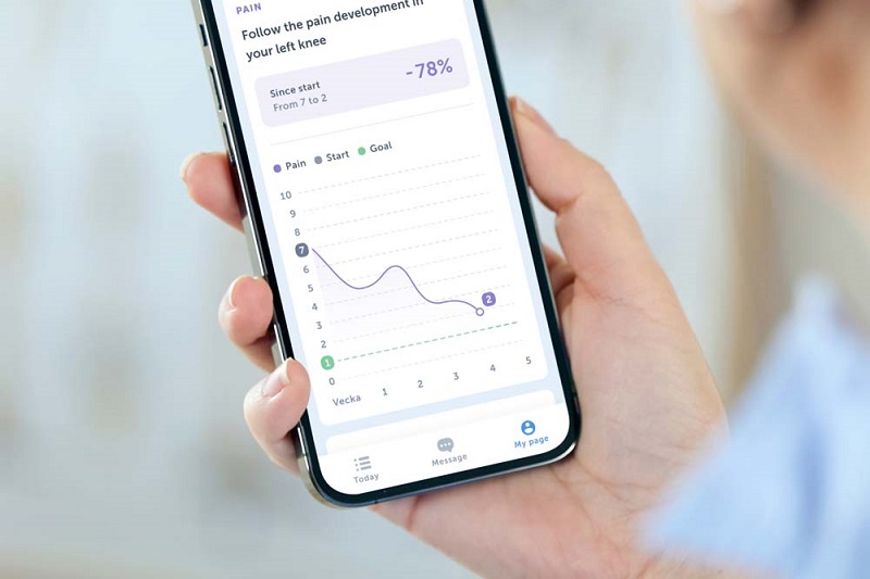 The app connects patients with physiotherapists, provides information about chronic joint pain, and encourages users to exercise daily