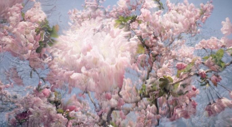 Morgan Beringer's <i>Seasonal</i> is an hour-long ambient video work that gradually cycles through landscapes and textures representing each of the four seasons