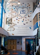 Royal Berkshire Hospital organ donation artwork symbolises the ‘gift of life’