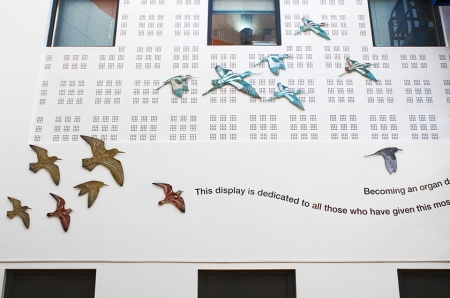Arts project uses nature to represent recipients of the 'gift of life'