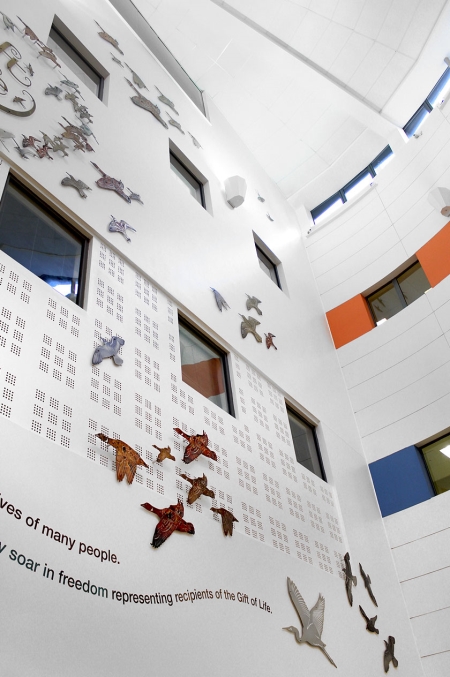 Arts project uses nature to represent recipients of the 'gift of life'