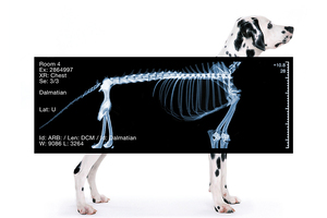 BHM group expands Reinsberg Group with acquisition of German X-ray systems manufacturer PROTEC