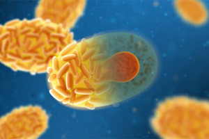 Biotech company awarded prestigious Innovate UK grant to expand search for rare disease therapies