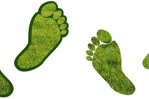 BMA lays out plan to ensure GP services are carbon neutral by 2030
