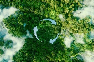 Building better supply chains through sustainability