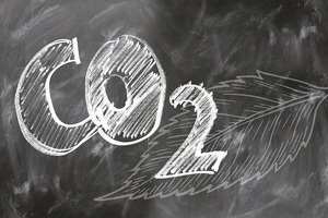 Carbon cuts save trust £10m