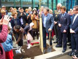 Carbon reduction in the NHS: News in brief