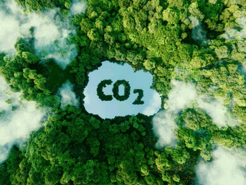 Carbon reduction plans mandated for NHS suppliers