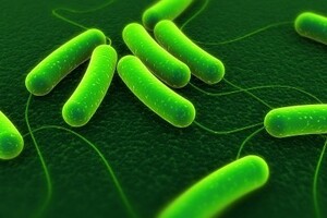 Care home ordered to pay £40,000 after failing to control Legionella risk