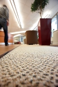 Carpet makes a comeback