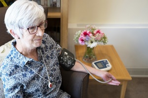 Case study: A ground-breaking telehealth pilot: What can we learn?