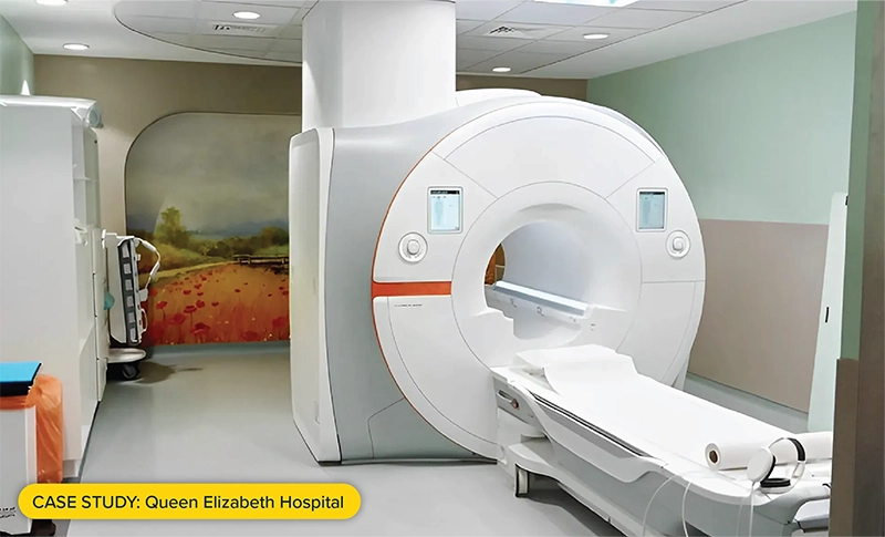 Case study: Queen Elizabeth Hospital