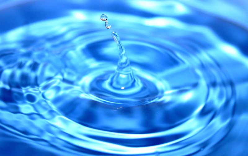 Case study: Sherwood Forest NHS minimises the risk of Pseudomonas