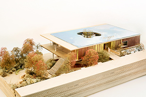 Charity Maggie’s applies for planning permission in Oldham