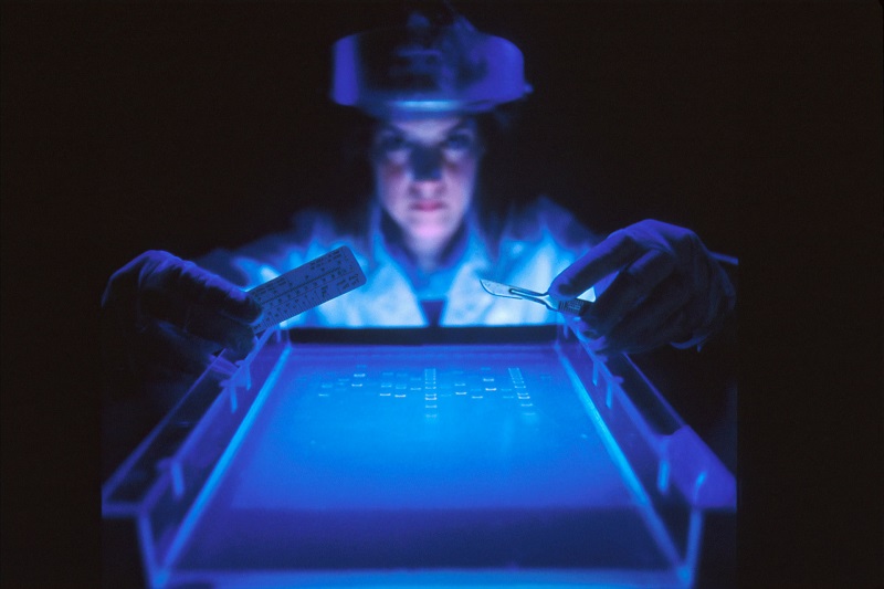 Co-funding collaboratives will drive the NHS digital transformation