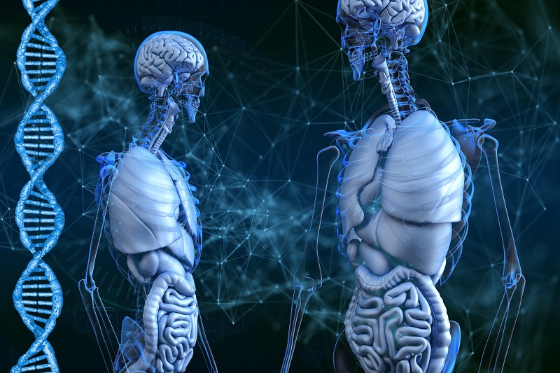 Comment: Why are health providers adopting a digital health platform approach?