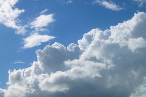 Comment: Why is 67% of the NHS using a cloud solution to manage expenses?