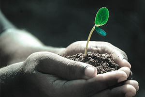 Compliance and sustainability
