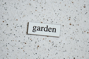 NHS plants rehabilitation garden at Hillingdon Hospital