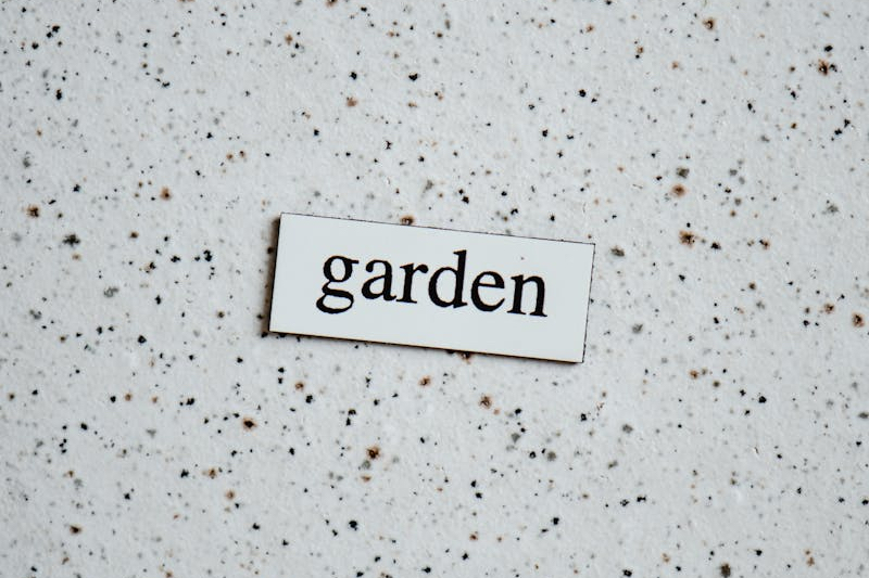 NHS plants rehabilitation garden at Hillingdon Hospital