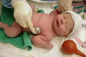 Could Pseudomonas baby deaths have been avoided?
