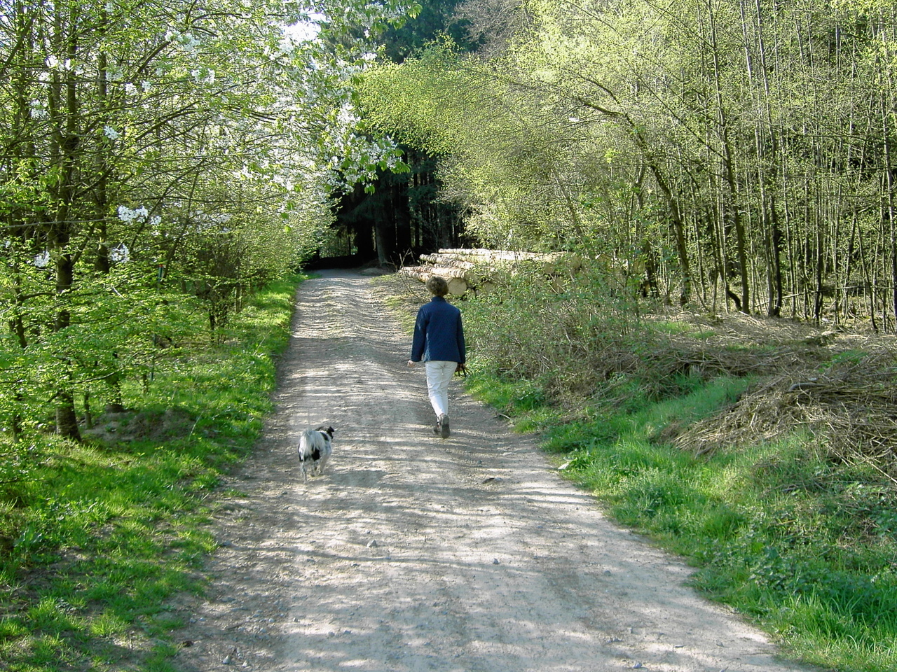Could you help create the first 'Garden City' of the 21st Century?