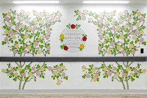 Croydon University Hospital unveils organ donation mural by Hospital Art Studio