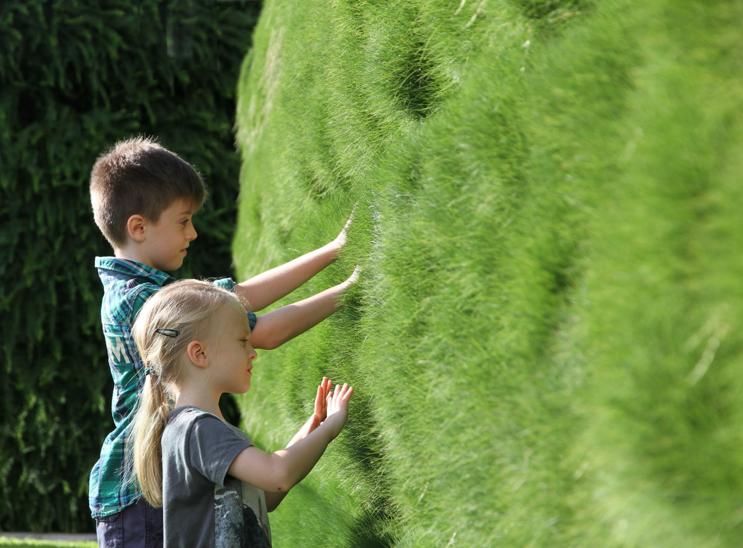 While interest is increasing, there remain few examples of rigorously-researched and evaluated healing gardens in hospitals