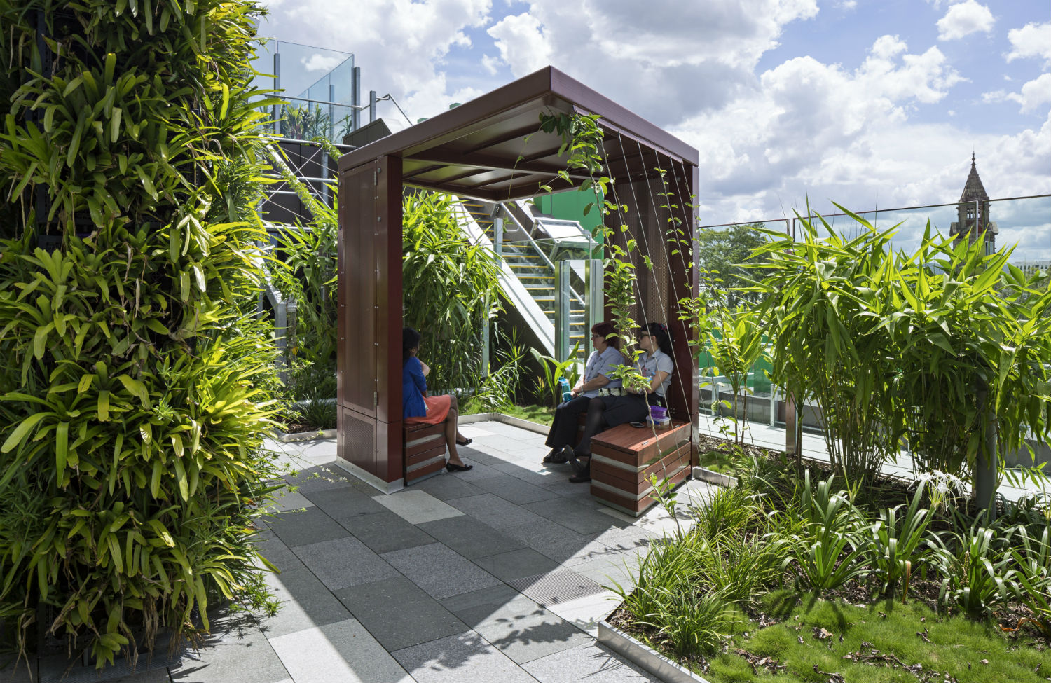 Designing gardens for healing and health 