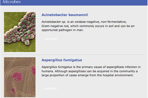 Detailed microbe database now online