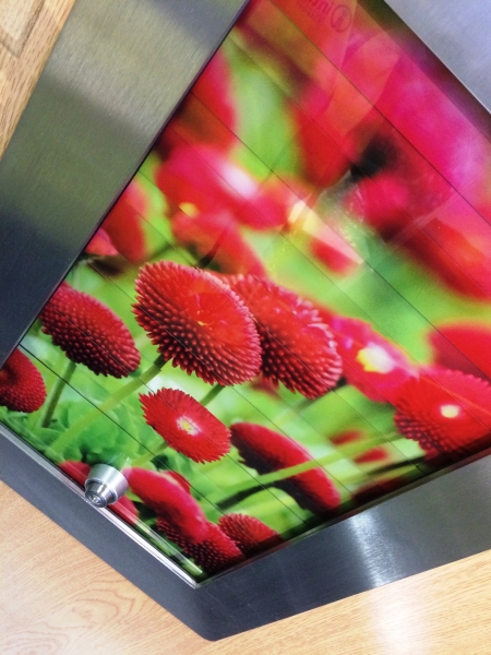 DigiGlaze offers a vision for drab doors