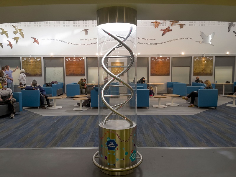 DNA sculpture unveiled at Kent hospital