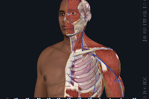 Elsevier introduces 3D human anatomy model to tackle racial bias in healthcare training