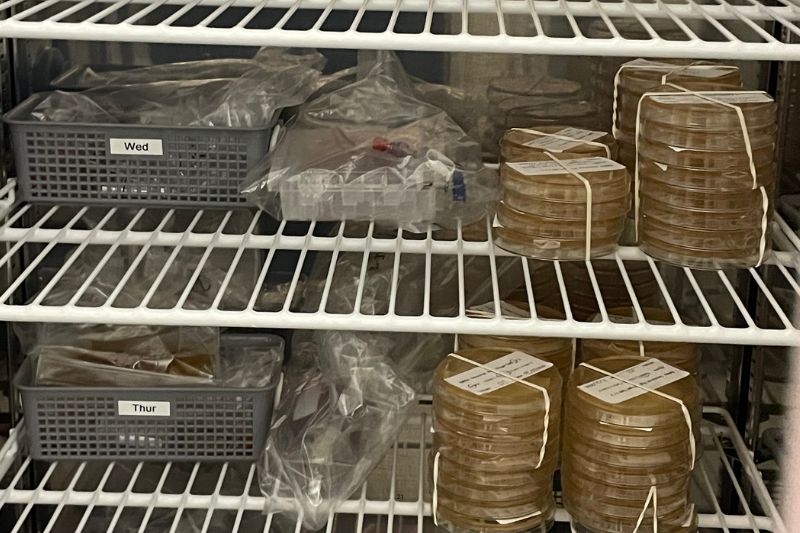 EXCLUSIVE: Inside King’s College Hospital’s aseptic pharmacy preparing 100+ medicines a day
