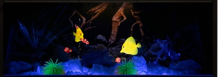 Fish illusion brings smiles to children’s cancer ward