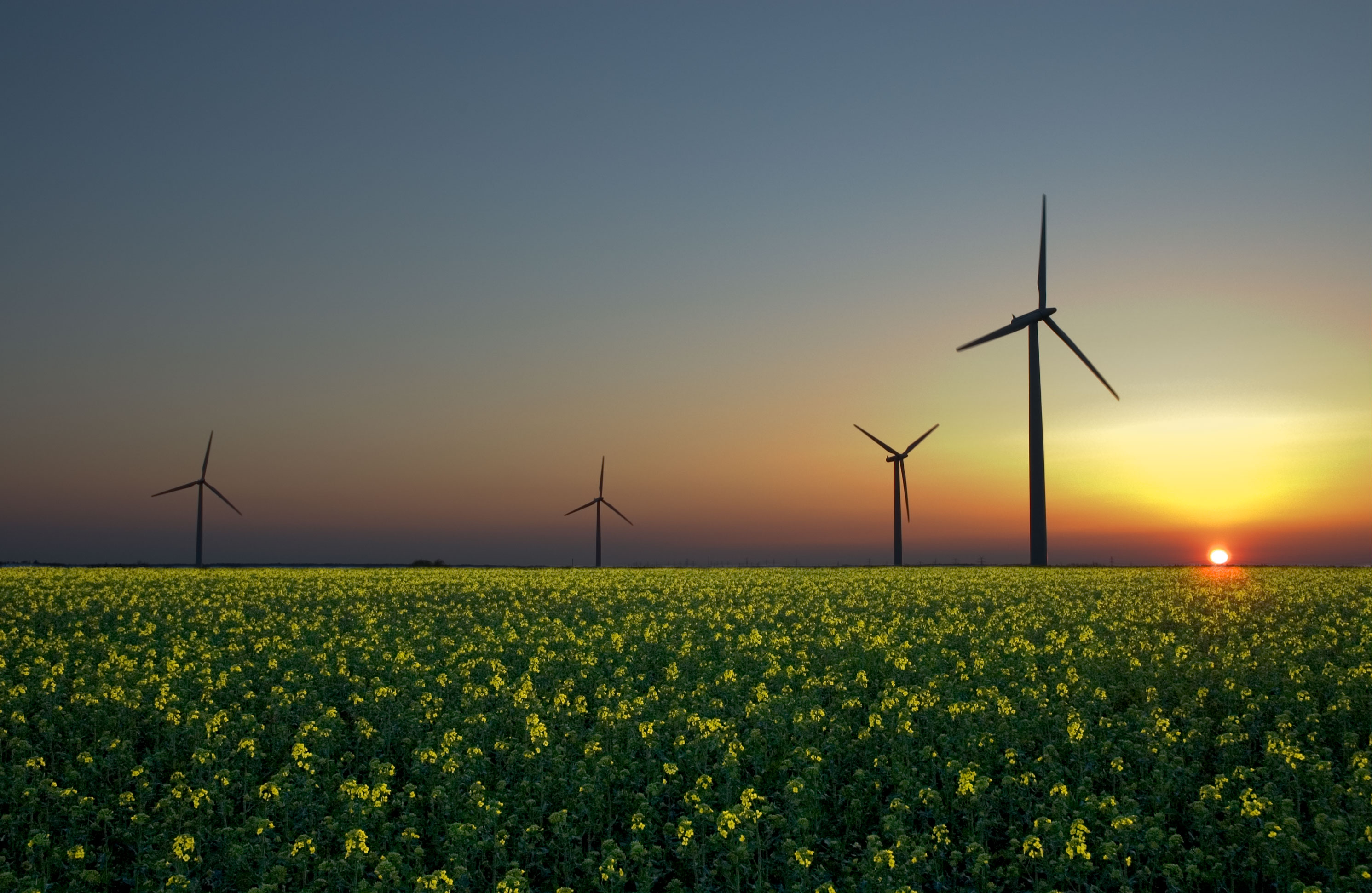 Five ways to improve energy efficiency in the dental sector