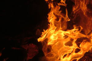 Free online training on fire doors launched for healthcare estate managers