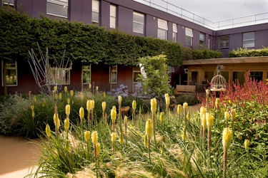 Frimley Park garden for terminally ill opened by Diarmuid Gavin