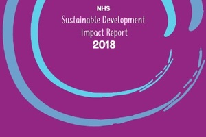 Government backing needed to further NHS carbon reduction efforts