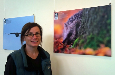 Gwent Hospital art exhibition brings the outside inside