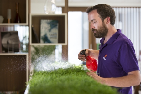 Horticulture for healing