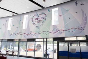 Hospitals use eye-catching artwork to publicise organ donation