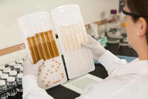 IDEXX Legiolert receives UK acceptance for Legionella pneumophila testing 