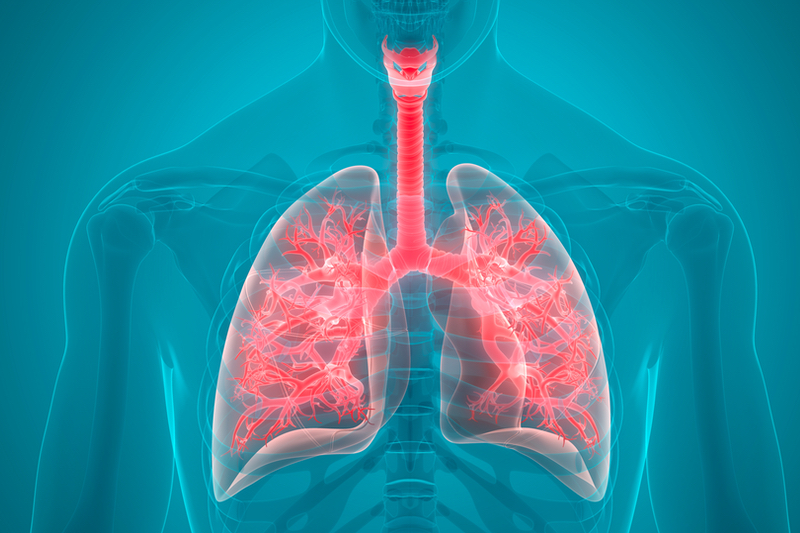 Implementation at scale: The success of the respiratory digital therapeutics toolkit